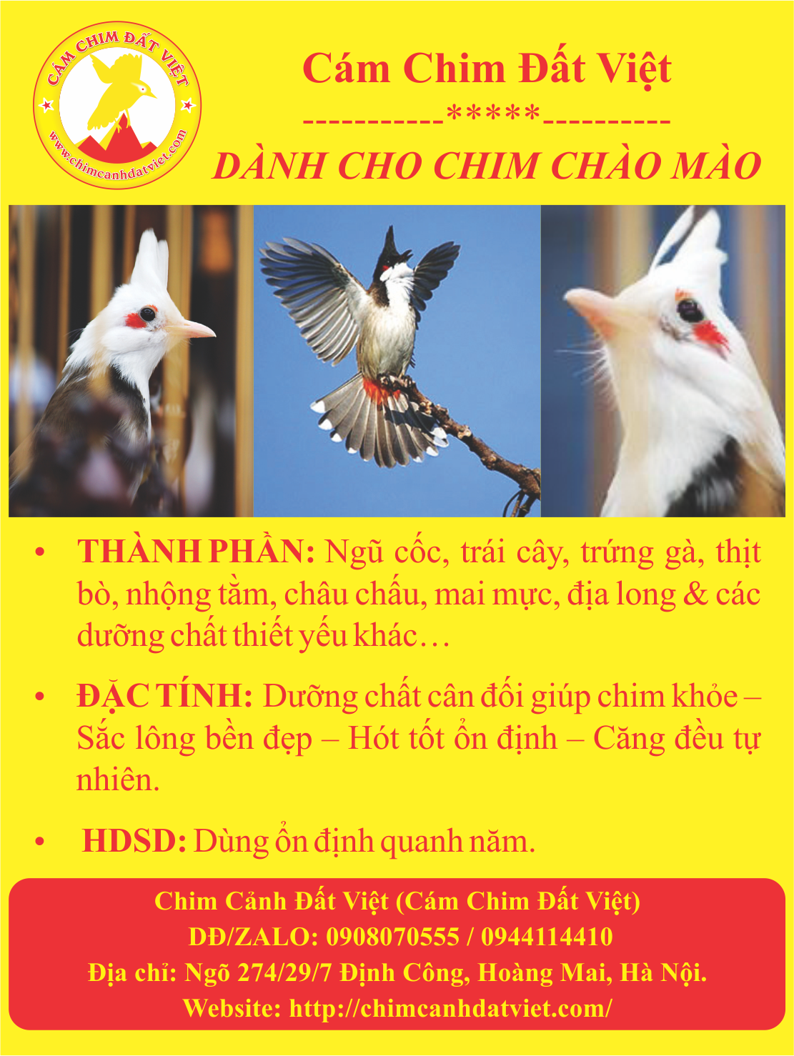 Top các diễn đàn chim cá cảnh tại Việt Nam uy tín nhất – Sân vườn VTOP