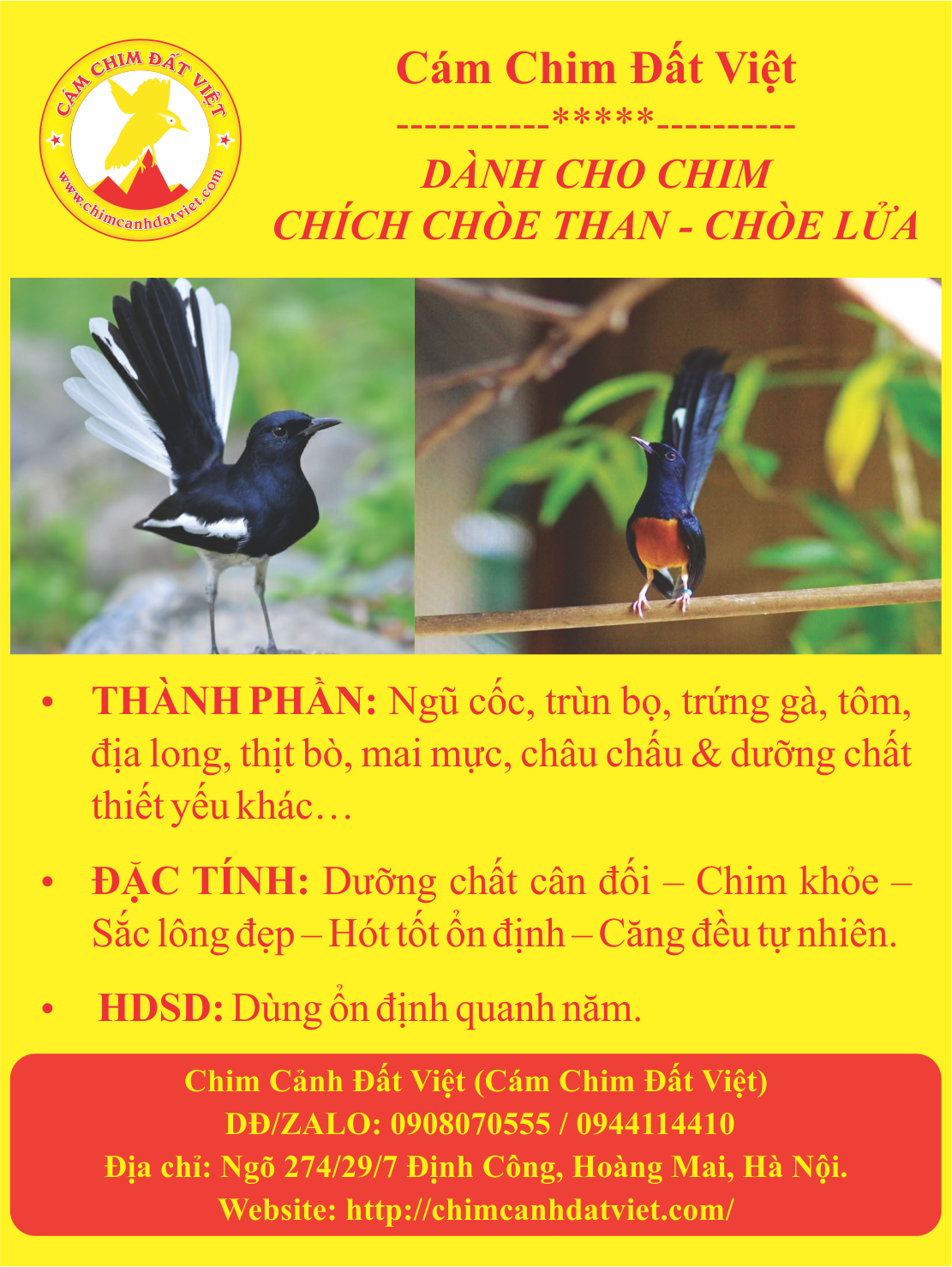 Cám Chim Chích Chòe Lửa Chòe Đất Comboo 5,10 Gói Cám Chất và Mát cho các  loại chim Chích Chòe | HolCim - Kênh Xây Dựng Và Nội Thất